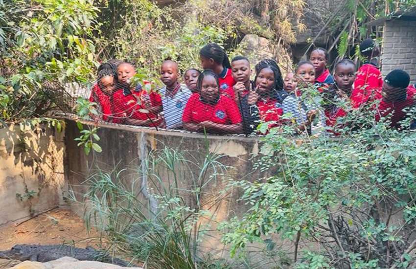 Hoedspruit Trip