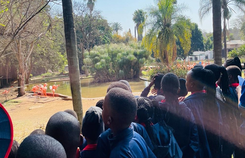 Pretoria Zoo Trip