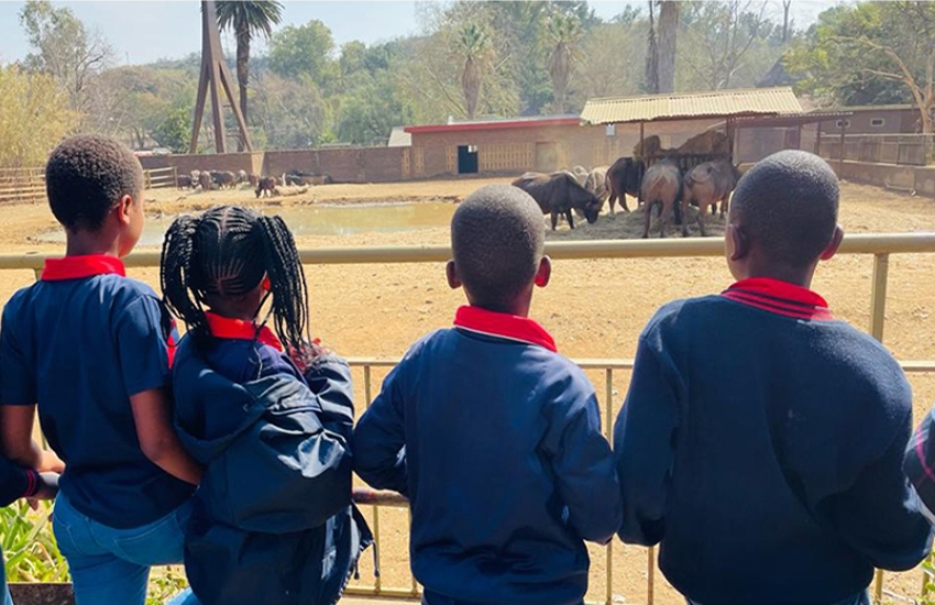 Pretoria Zoo Trip
